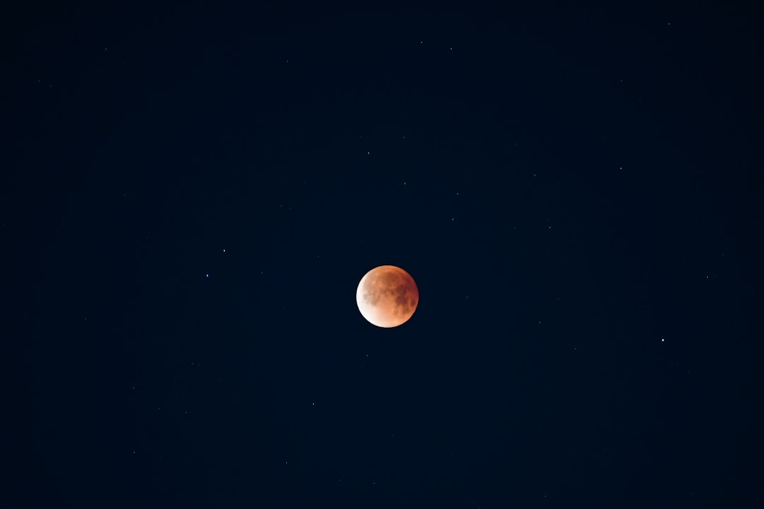 découvrez le jardinage lunaire, une méthode traditionnelle qui utilise les phases de la lune pour optimiser la croissance de vos plantes. apprenez à planifier vos semis, entretiens et récoltes en harmonie avec le cycle lunaire pour des jardins plus sains et productifs.