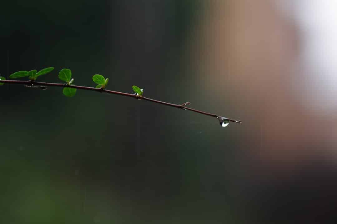 découvrez l'univers de la sérénité, un espace dédié au bien-être et à la paix intérieure. plongez dans des pratiques apaisantes, des conseils pour mieux gérer le stress et des inspirations pour une vie harmonieuse. trouvez l'équilibre et laissez-vous emporter par la tranquillité.