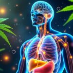 découvrez comment le cbd interagit avec votre corps et explorez ses effets sur la santé et le bien-être. comprenez le mécanisme d'action du cannabidiol et ses bienfaits potentiels pour votre organisme.